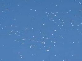 ¿Flotilla de OVNI sobre Guadalajara, México?