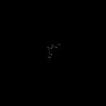 ¿Entidad Biologica Aérea No Identificada (EBANI) en el cielo de Medellín, Colombia?