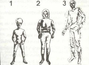 razas extraterrestres