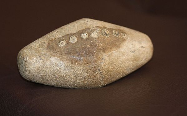 Descubren herramienta prehispánica de plomo en Chan Chan