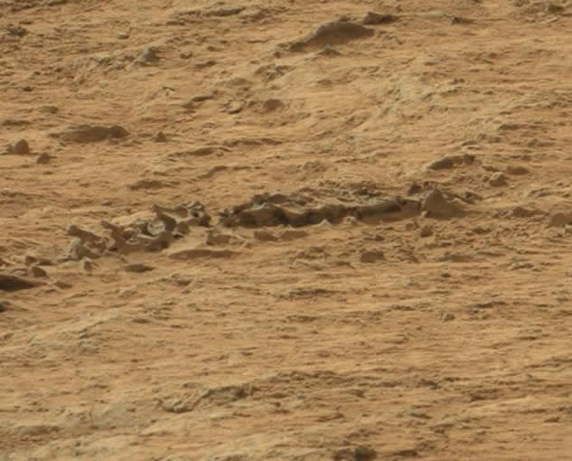 Fósil en Marte