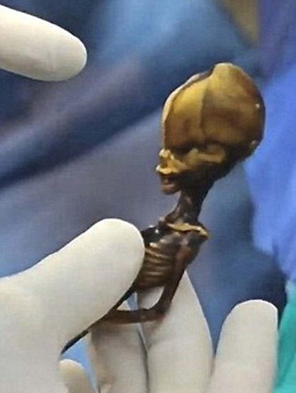 El 'mini extraterrestre' hallado hace diez años en Atacama, Chile tiene ADN humano 