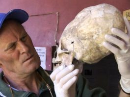 Entrevista a Brien Foerster: Cráneos alargados de Paracas (Perú) presentan características de ADN jamás vistas