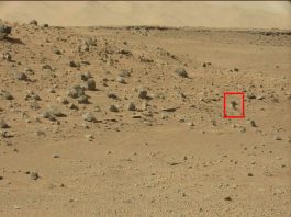 Interesante anomalía habría sido hallada en fotografías del Curiosity Rover