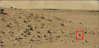 Interesante anomalía habría sido hallada en fotografías del Curiosity Rover