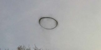 Estudiante en Inglaterra toma foto de extraño "anillo negro"