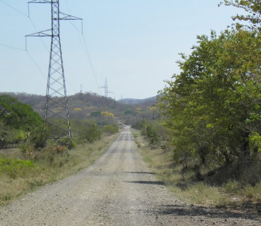 Caso recibido: Experiencia Palo Verde, encuentro cercano del tercer tipo en Costa Rica
