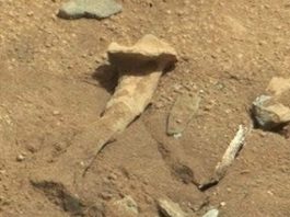¿Un hueso parecido al fémur en Marte?