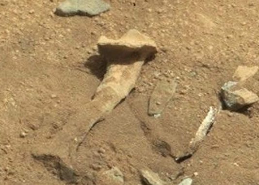 ¿Un hueso parecido al fémur en Marte?