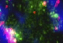 Imagen facilitada por la revista 'Nature' de la galaxia Sextans, cuyo gas interestelar prácticamente no contiene metales Efe / Yong Shi