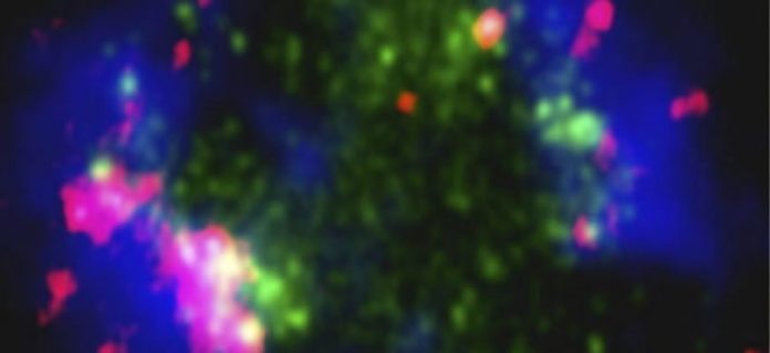 Imagen facilitada por la revista 'Nature' de la galaxia Sextans, cuyo gas interestelar prácticamente no contiene metales Efe / Yong Shi Imagen facilitada por la revista 'Nature' de la galaxia Sextans, cuyo gas interestelar prácticamente no contiene metales Efe / Yong Shi