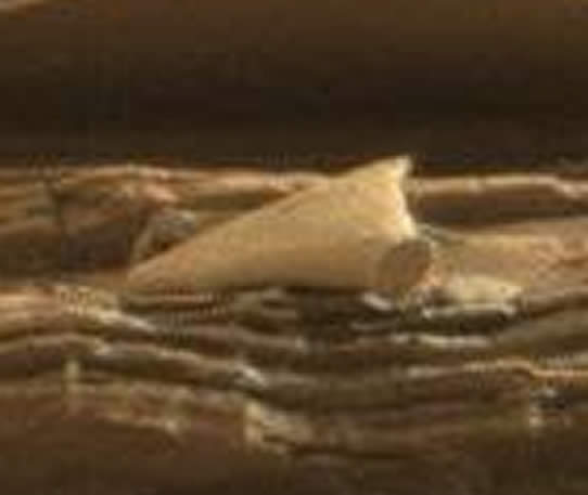 En esta imagebn se muestra una ampliación de la anomalía presentada en la fotografía de Marte