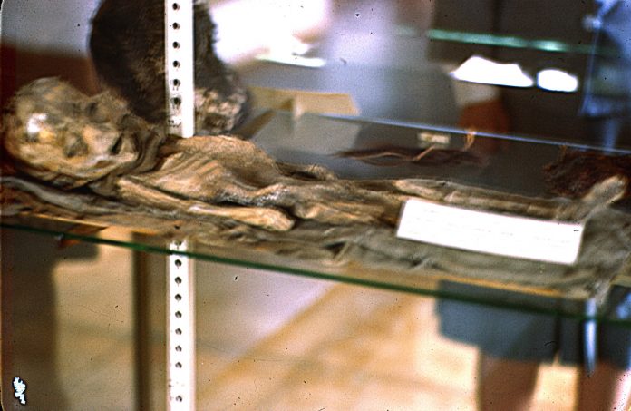 Fotografía en alta resolución del supuesto ser extraterrestre caído en Roswell y presentada ayer en #BeWITNESS Fotografía en alta resolución del supuesto ser extraterrestre caído en Roswell y presentada ayer en #BeWITNESS
