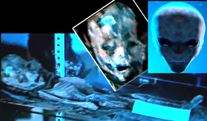 Primera diapositiva mostrada en el evento #BeWITNESS del supuesto ser extraterrestre recuperado del incidente de Roswell. Primera diapositiva mostrada en el evento #BeWITNESS del supuesto ser extraterrestre recuperado del incidente de Roswell.