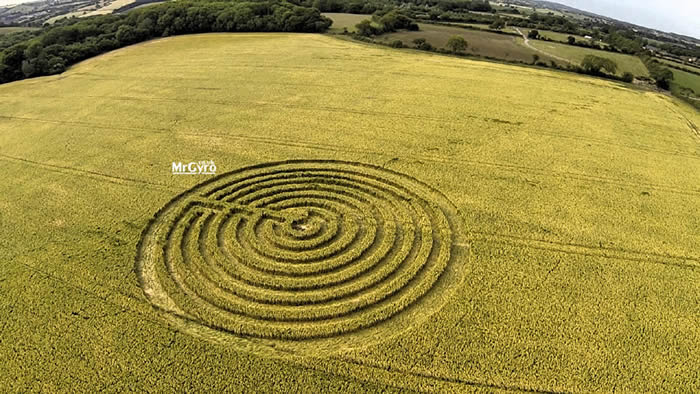 Crop Circle reportado el 22 de junio (2015) en Sunnyside, Nr Redlynch, Somerset. Crédito: MrGyro.co.uk