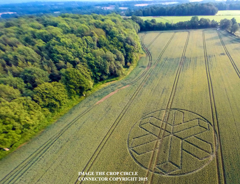 Crop Circle reportado en Sussex, UK. 22 de junio (2015).
