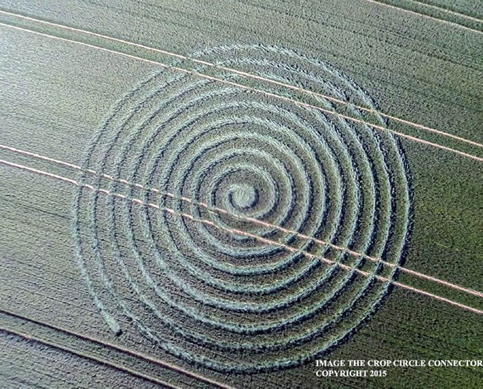 Crop Circle reportado en Wiltshire. 9 de junio (2015) Crédito: Crop Circle Connector