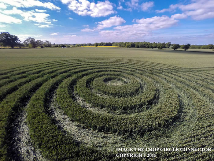 Crop Circle reportado en Wiltshire. 9 de junio (2015) Crédito: Crop Circle Connector