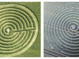 Crop circle en espiral reportados en el mes de junio de 2015 en Reino Unido.