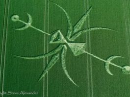 Un nuevo crop circle fue fotografiado en Wiltshire, Inglaterra.
