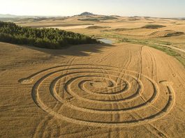 Un círculo de la cosecha apareció en campos de trigo en la comunidad de Navarra, España.