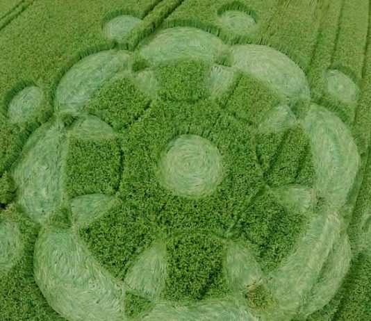 Crop circle aparece en Alemania.