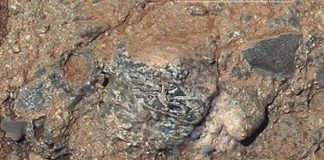 Clast ígnea llamada Harrison incrustado en una roca en el cráter Gale, Marte, Muestra cristales alargados de feldespato de tonos claros.