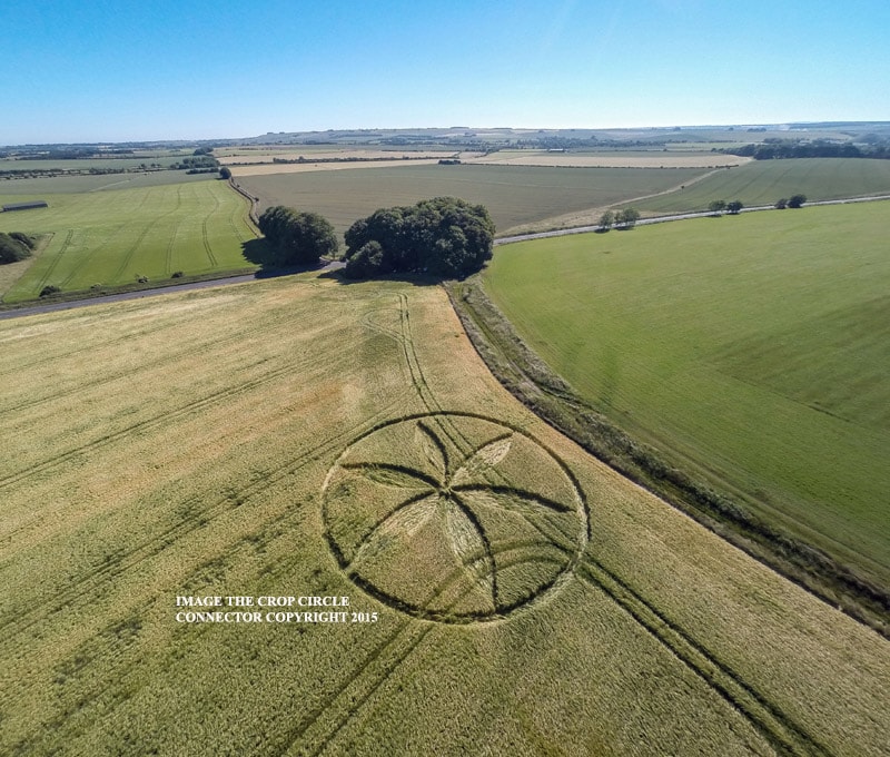 Crop Circle reportado en Wiltshire, Reino Unido. 29 de junio 2015.
