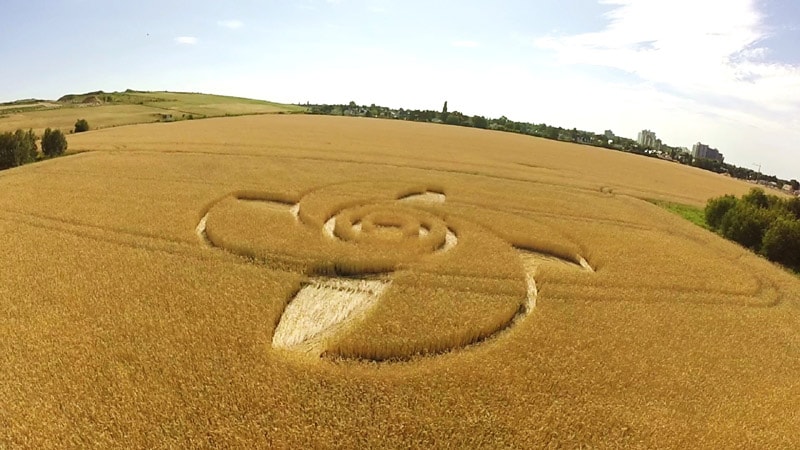 Crop circle reportado el 7 de julio (2015) en Groziethen, Brandenburg, Alemania. 
