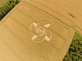 El 7 de junio se reportó un Crop Circle en Crop circle reportado en Groziethen, Brandenburg, Alemania.