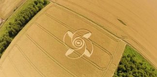 El 7 de junio se reportó un Crop Circle en Crop circle reportado en Groziethen, Brandenburg, Alemania.