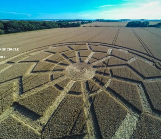 Un nuevo crop circle aparece en Wiltshire, Inglaterra.