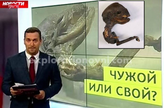 TV de Rusia emitió un reportaje dando a conocer detalles sobre este misterioso hallazgo. Crédito: Алена Седлецкая