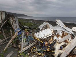 Malasia confirma que los restos hallados en el Índico son del MH370.