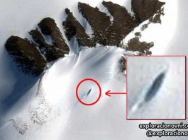 Anomalía reportada en la Antártida por un investigador OVNI. Crédito: Google