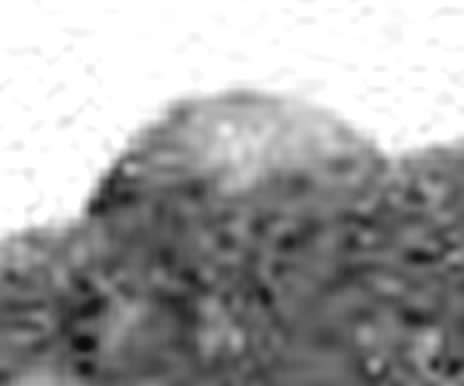 Ampliación del domo fotografiado en Marte