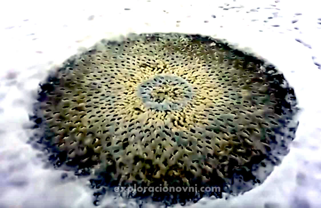 Misterioso círculo descubierto en un lago congelado de Utah