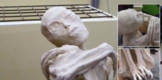 Momia «extraterrestre» de Nasca, Perú: Científico realiza el análisis de manos y pies