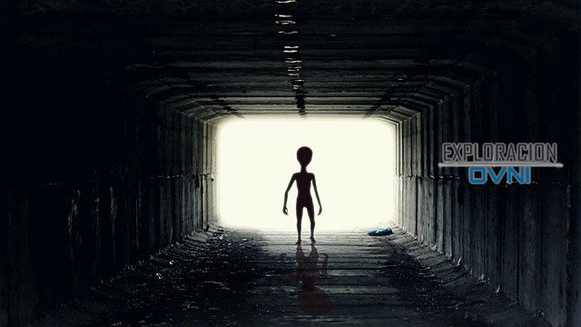 CIENTÍFICO: Los humanos son extraterrestres que fueron llevados a la Tierra hace miles de años