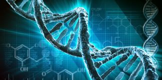 ¿Están codificados mensajes extraños en nuestro ADN?